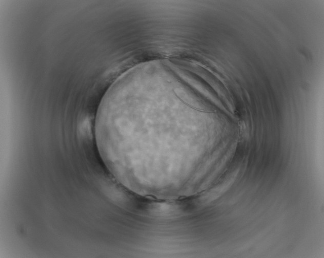 X0000113300286200910051048