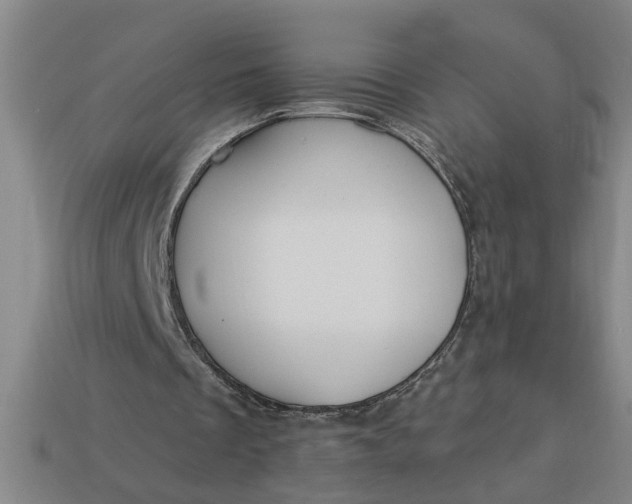 X0000113300289200910051048