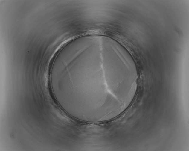 X0000113300290200910051048