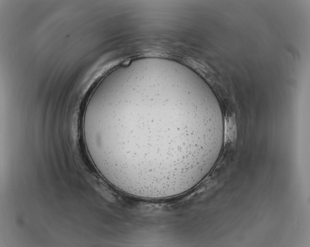 X0000113300291200910051048