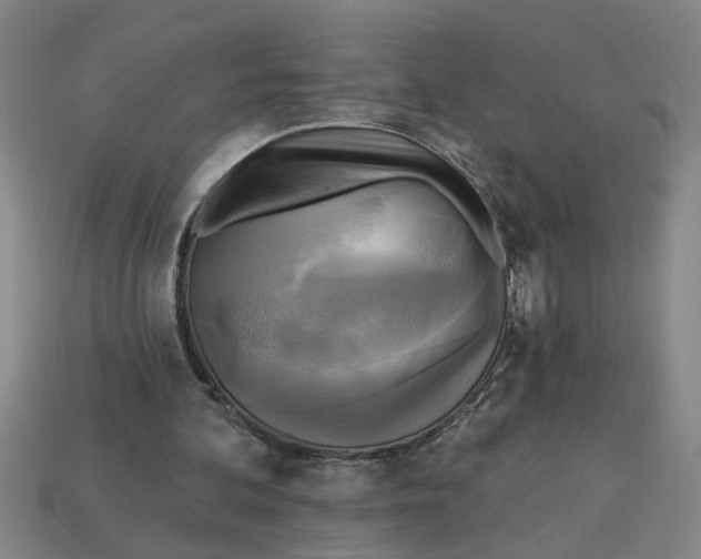 X0000113300292200910051048