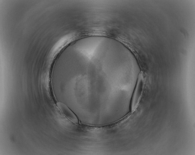 X0000113300293200910051048