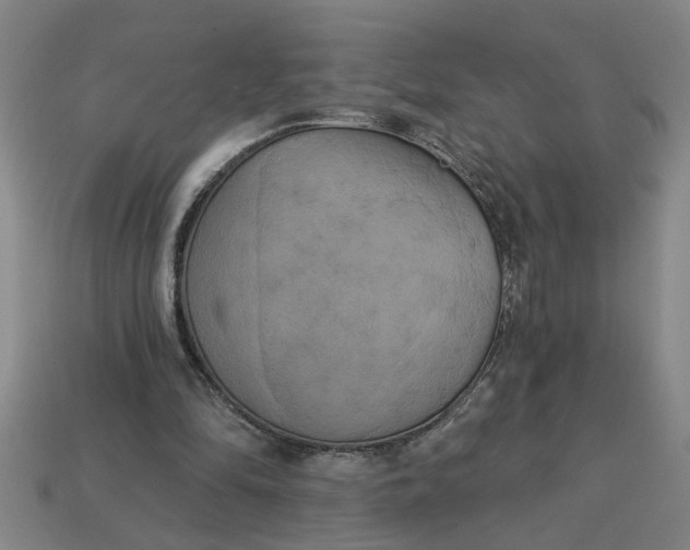 X0000113300294200910051048