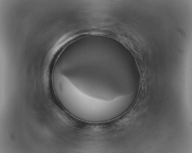 X0000113300295200910051048