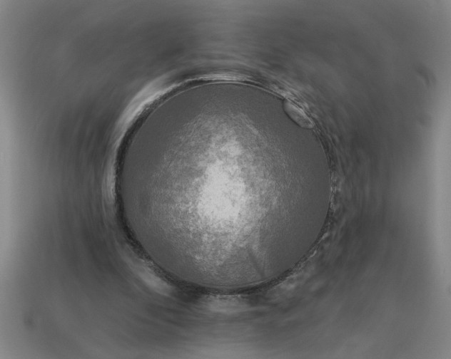 X0000113300296200910051048