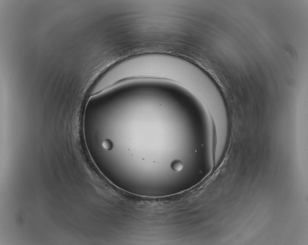 X0000113300297200910051048