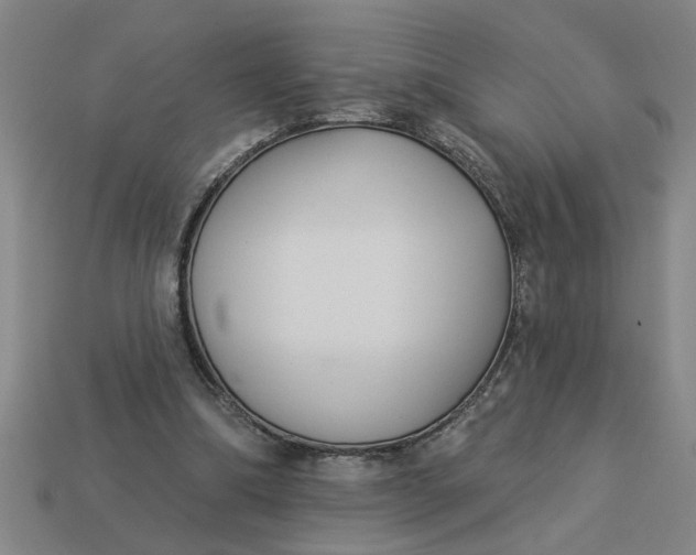 X0000113300298200910051048