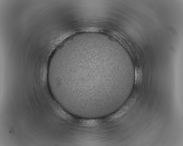 X0000113300301200910051048