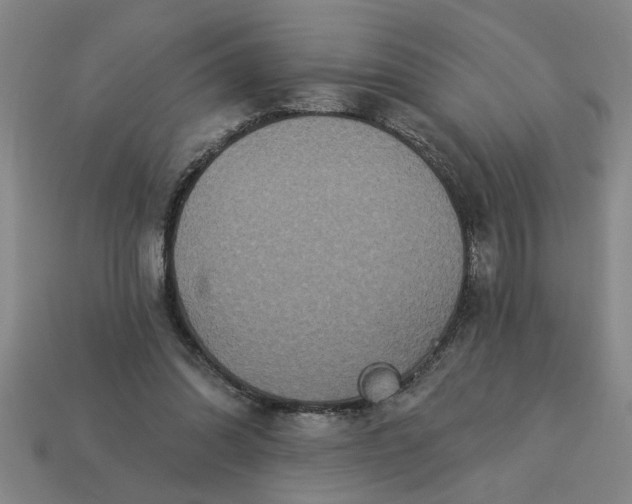 X0000113300302200910051048