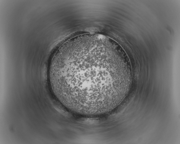 X0000113300303200910051048