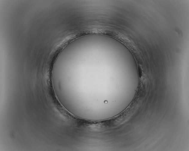 X0000113300306200910051048