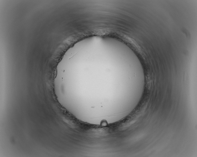 X0000113300307200910051048