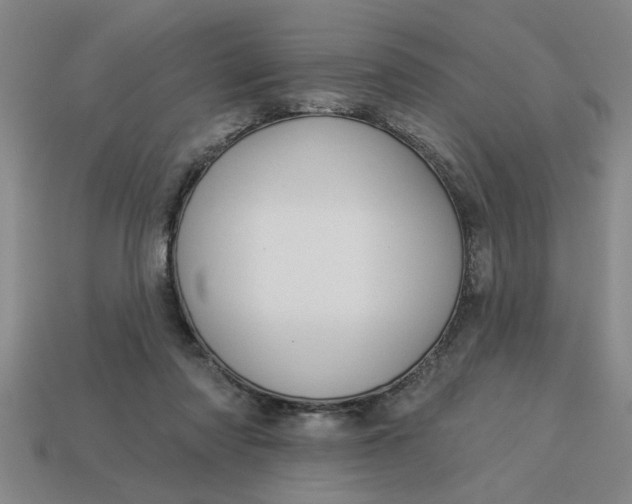 X0000113300310200910051048