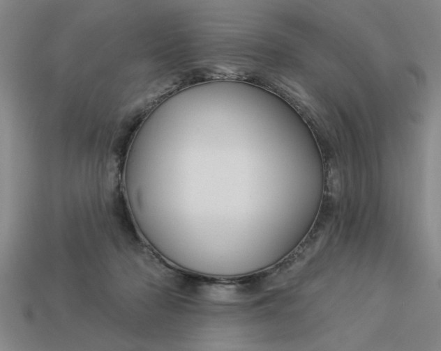 X0000113300318200910051047