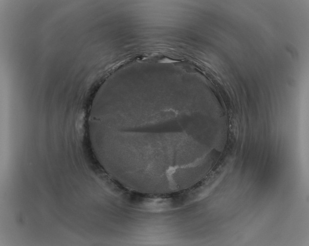 X0000113300319200910051047