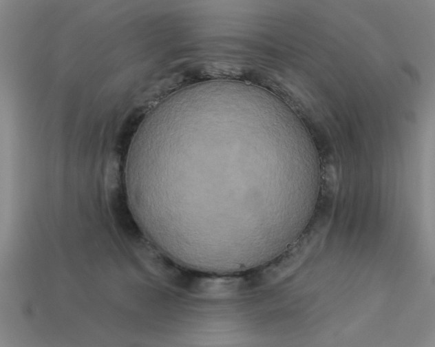 X0000113300323200910051047