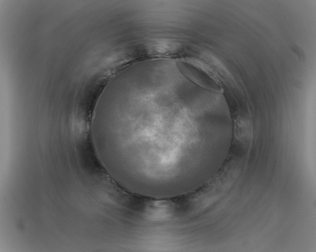 X0000113300324200910051047