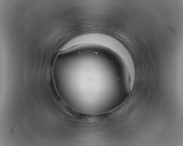 X0000113300325200910051047