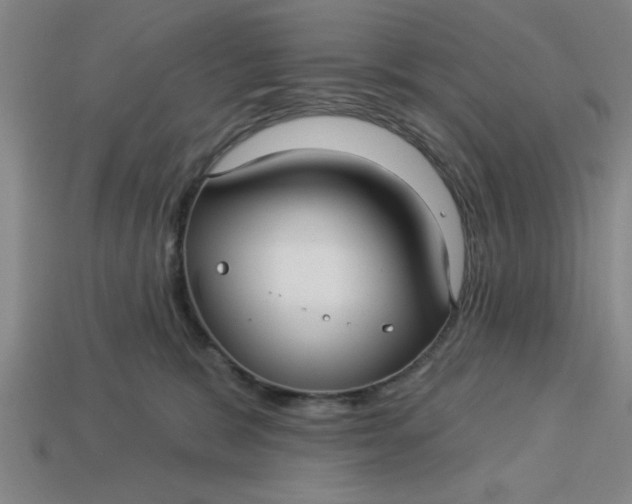 X0000113300327200910051047
