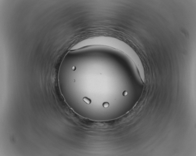 X0000113300328200910051047