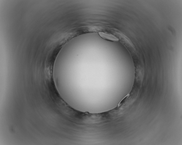 X0000113300329200910051047