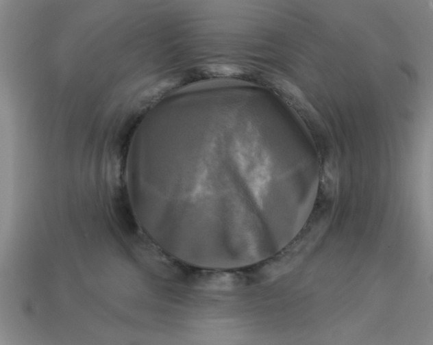 X0000113300330200910051047
