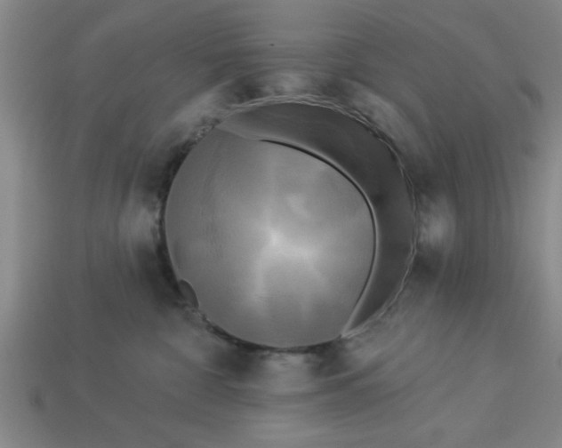 X0000113300332200910051047