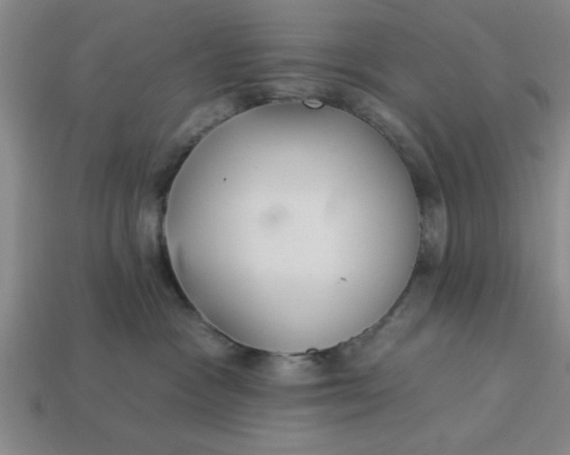 X0000113300333200910051047
