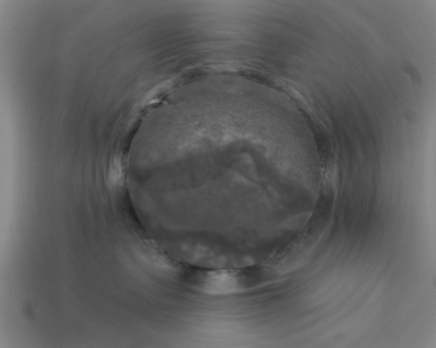 X0000113300335200910051047