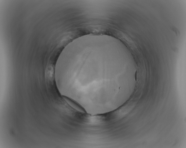 X0000113300336200910051047