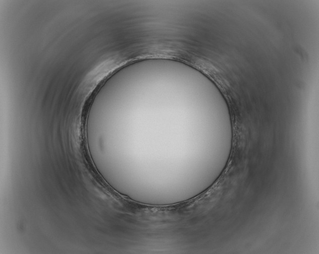 X0000113300338200910051047