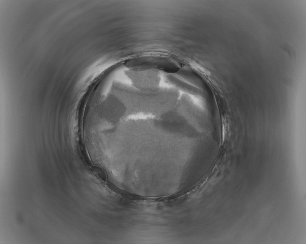 X0000113300339200910051047