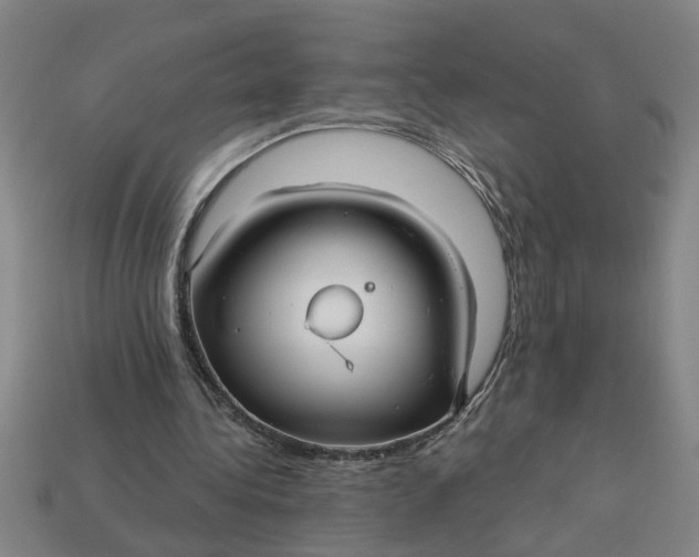 X0000113300340200910051047