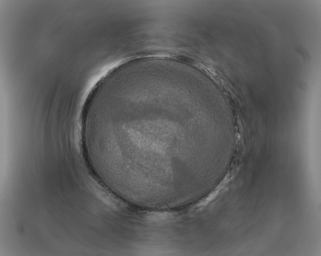 X0000113300342200910051047