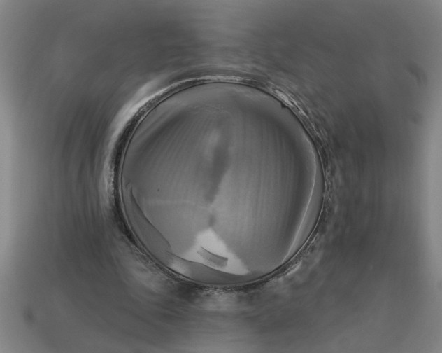 X0000113300343200910051047