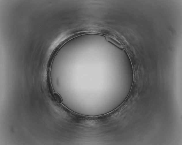 X0000113300344200910051047