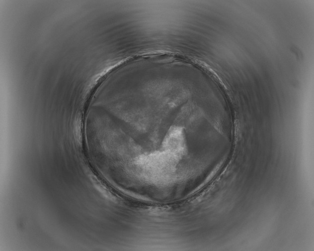 X0000113300345200910051047
