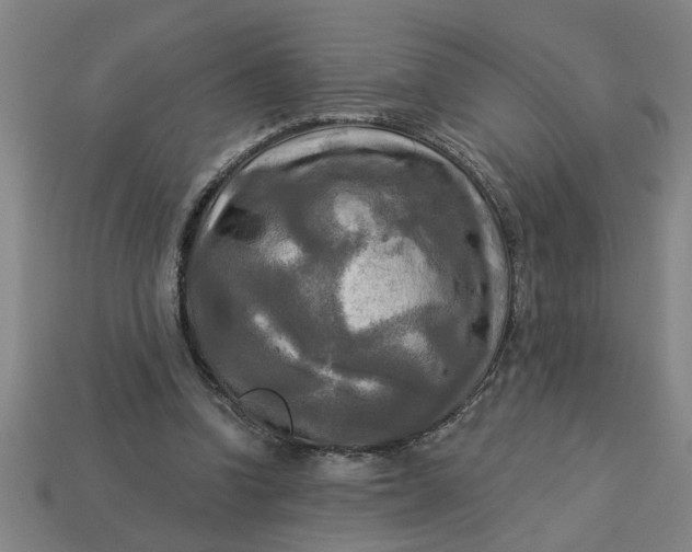 X0000113300346200910051047