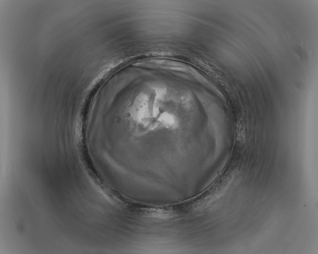X0000113300347200910051047