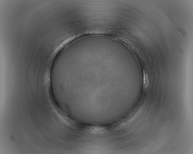 X0000113300348200910051047