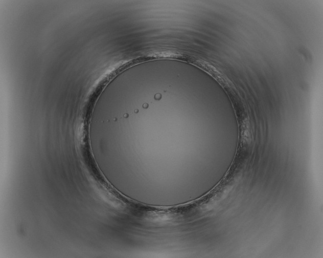 X0000113300351200910051047