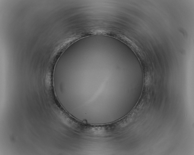 X0000113300353200910051047