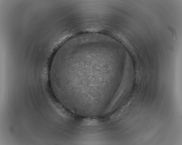 X0000113300354200910051047