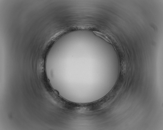 X0000113300356200910051047