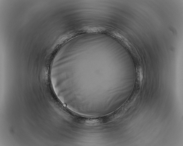 X0000113300357200910051047