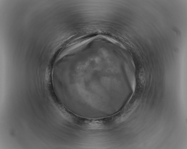 X0000113300359200910051047