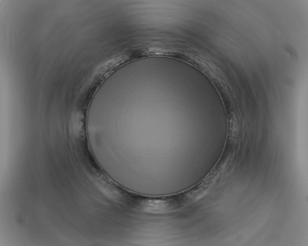 X0000113300361200910051047