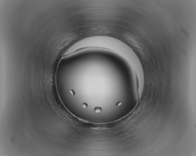 X0000113300362200910051047