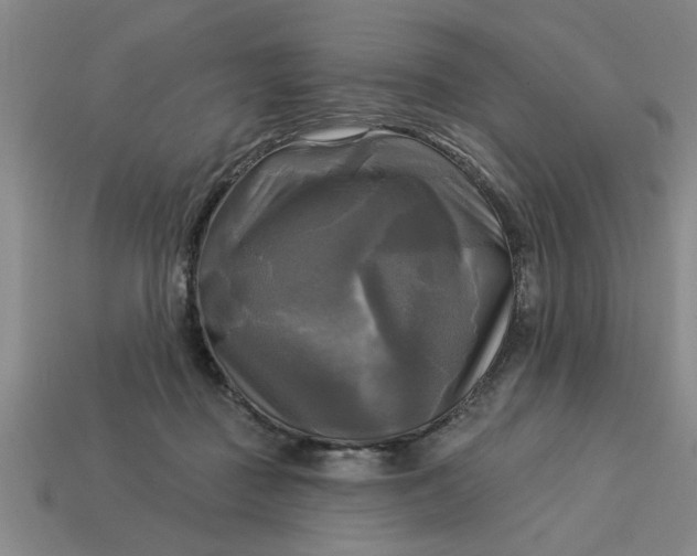 X0000113300363200910051047
