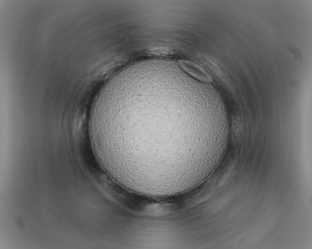 X0000113300364200910051047